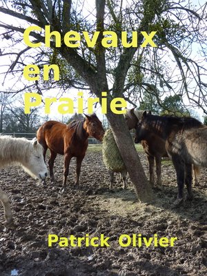 cover image of Chevaux en Prairie